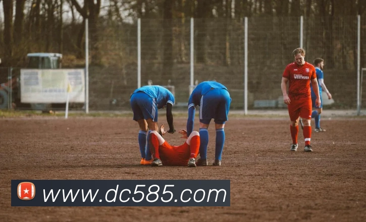 App Interface Preview